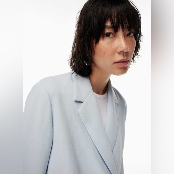 Aritzia Wilfred Cherelle Blazer - Picture 2 of 7
